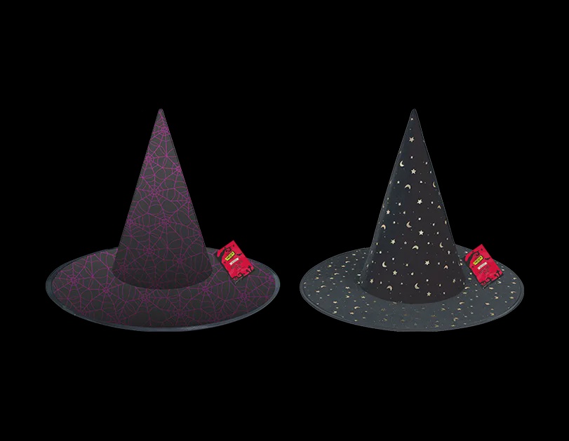 Halloween Printed Witches Hat